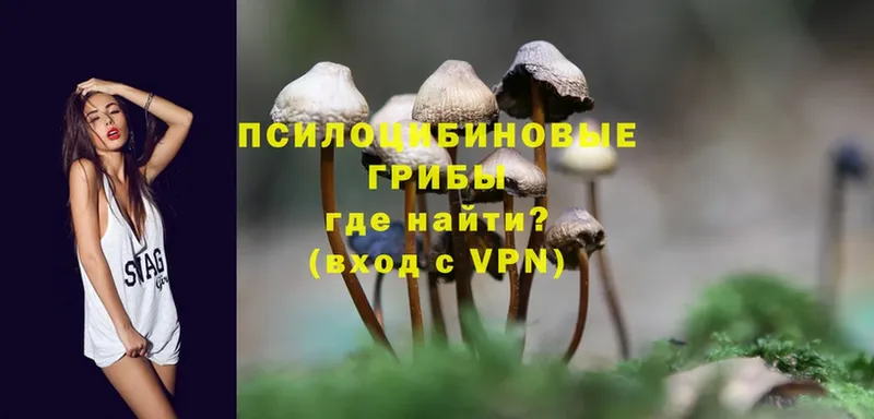 наркота  кракен рабочий сайт  Псилоцибиновые грибы Psilocybe  Алейск 